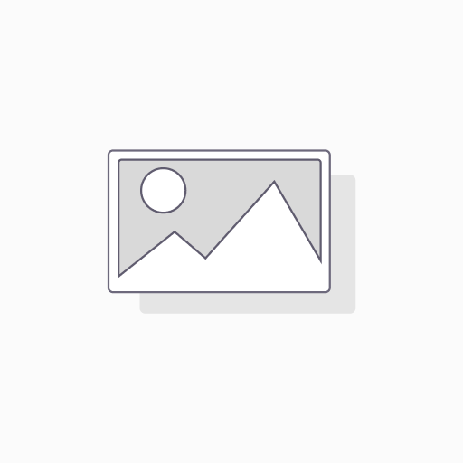 Palo